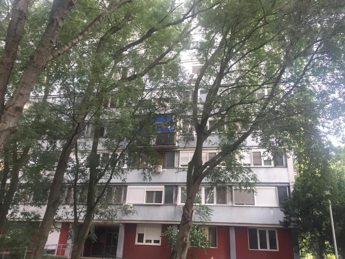 Apartment Ljiljana Bělehrad Exteriér fotografie