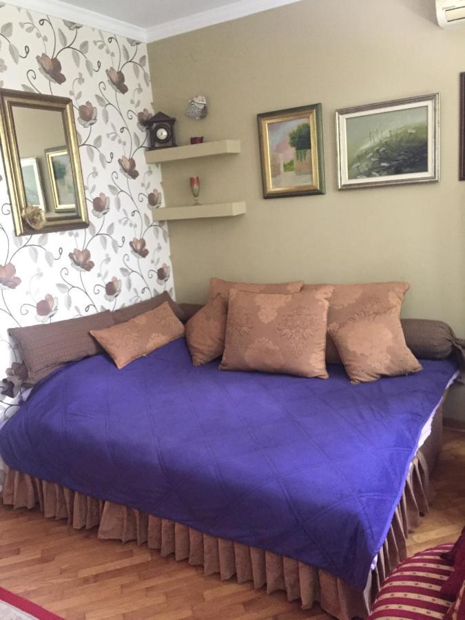 Apartment Ljiljana Bělehrad Exteriér fotografie